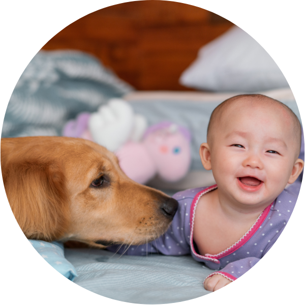 ペットや上の子からのいたずら防止